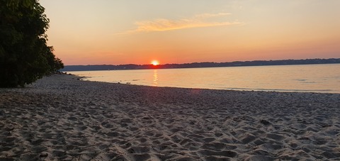 Galerie-Bild von Victoria Fildebrandt