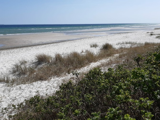 Ferienwohnung in Niendorf/Ostsee - Residenz Niendorf mit Meerblick - Strand