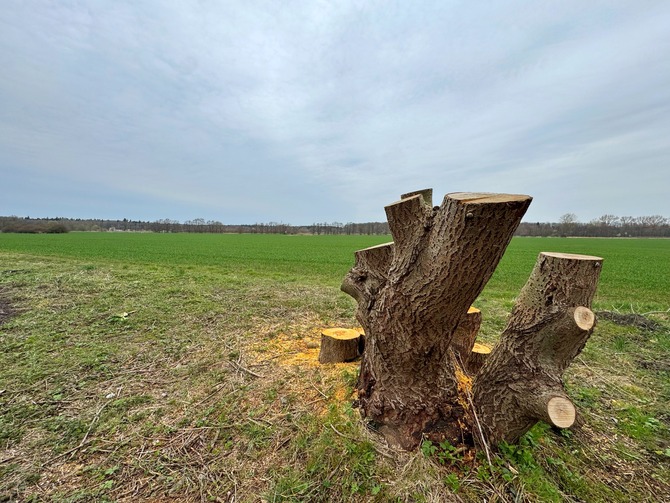Ferienwohnung in Niederhagen - Sonne und Me(eh)r - Aussicht Feld