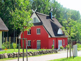 Ferienhaus in Glowe - Haus Seeigel - Bild 1