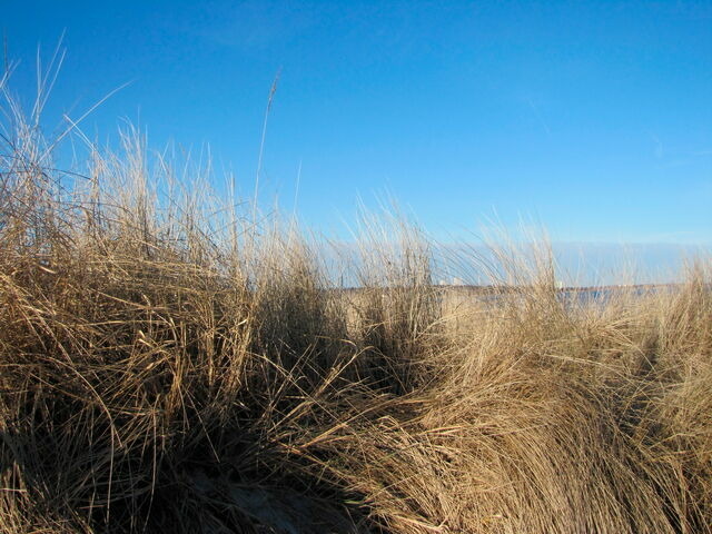 Ferienwohnung in Haffkrug - Wohnung Nr. 2 - Bild 13