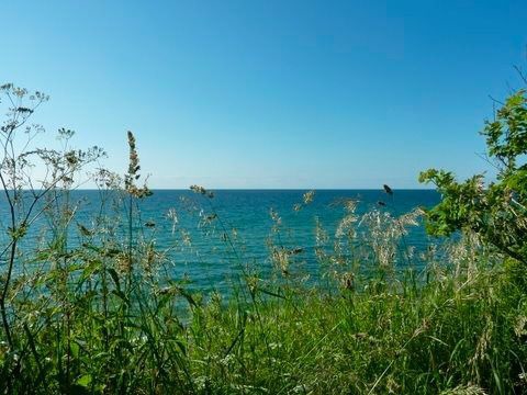 Ferienwohnung in Rerik - Strandläufer in der Villa Rosita - Bild 25