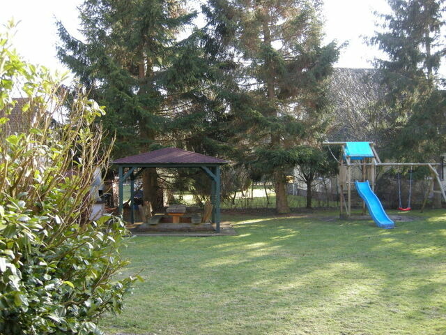 Ferienhaus in Prerow - Kormoran Muschelsucher - Bild 12