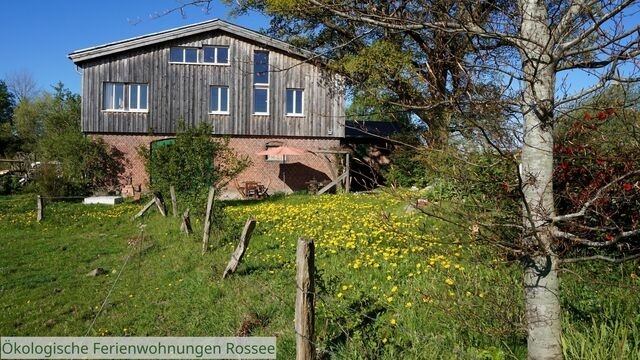 Ferienwohnung in Barkelsby - ökologische Ferienwohnung Rossee /Wohnung Ost - Bild 12