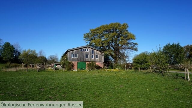 Ferienwohnung in Barkelsby - ökologische Ferienwohnung Rossee /Wohnung Ost - Bild 16