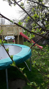 Ferienwohnung in Fehmarn OT Petersdorf - G&auml;stehaus Nielson, Terrassenwohnung Sommerwind mit Garten - Bild 9