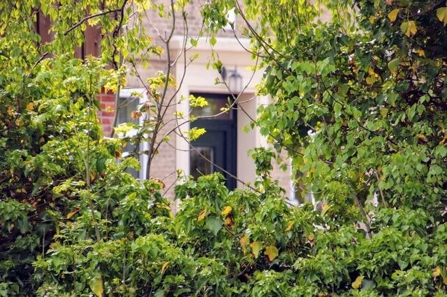 Ferienwohnung in Fehmarn OT Vadersdorf - RosenGärtchen - Bild 22