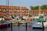 Ferienwohnung in Ueckermünde - Lagunenstadt am Haff Fewo 246 - Seeigel - Bild 11