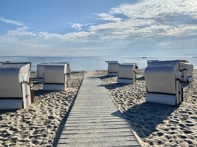 Ferienwohnung in Ueckermünde - Lagunenstadt am Haff Fewo 246 - Seeigel - Bild 15