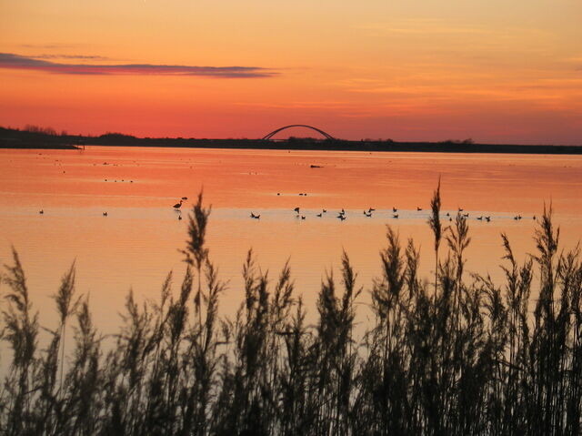 Ferienwohnung in Fehmarn OT Landkirchen - Haus Amy - Wohnung 3 - Bild 21