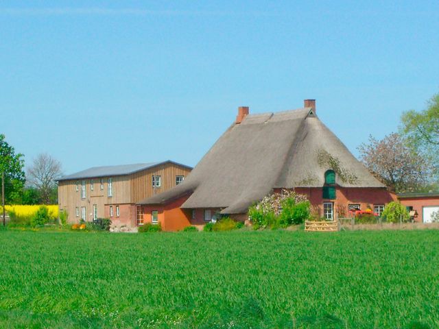 Ferienwohnung in Riepsdorf - "Hof Triangel - Whg. 2" - Bauernhofurlaub mit Streicheltieren und Treckerfahren - Bild 22
