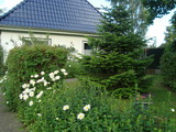 Ferienwohnung in Grömitz - "Haus Kornhof - Whg. 2" - Bild 23