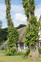 Ferienwohnung in Grömitz - "Wohnung: Holzkoppel - Hof Jasen" - Bild 19