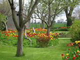 Ferienhaus in Fehmarn OT Ostermarkelsdorf - "Lütt Huus" - Bild 10