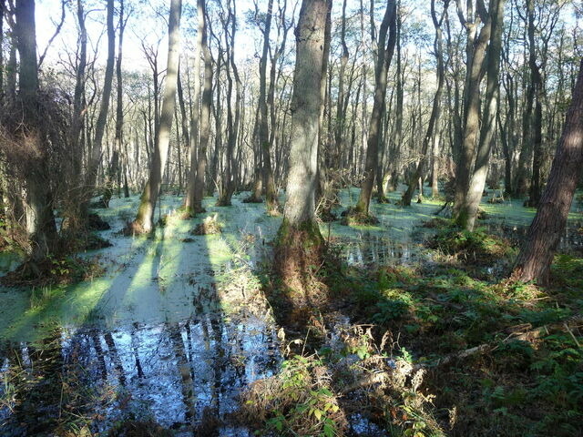 Ferienwohnung in Prerow - FeWo Abendsonne - Bild 20