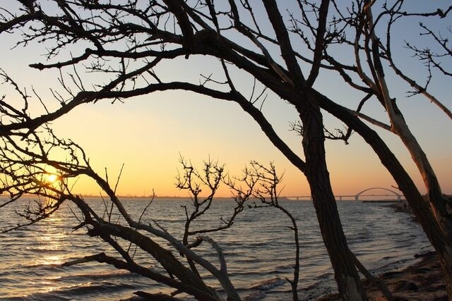 Ferienwohnung in Fehmarn OT Meeschendorf - Kleingarn - "Meeresblick" Nr.11 - Bild 20