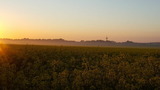 Ferienwohnung in Fehmarn OT Bannesdorf - Ferienhaus Am Feld, Whg. "Weizen" - Bild 12