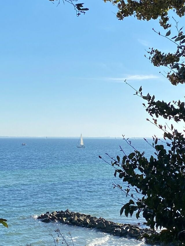 Ferienwohnung in Grömitz - Haus Panorama - Kleines Sternchen - Bild 23