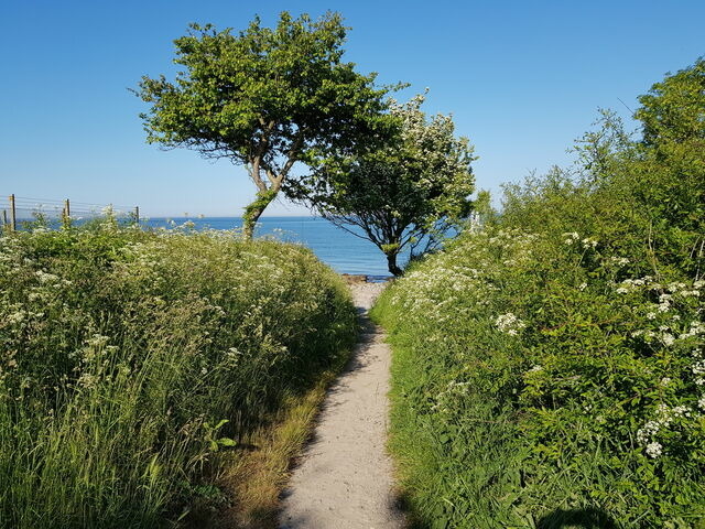 Ferienwohnung in Fehmarn OT Todendorf - Haus am Teich - Schwalbennest - Bild 24