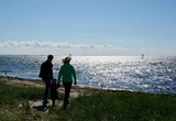 Ferienwohnung in Fehmarn - Knusthof Lafrenz - Südwest - Bild 9