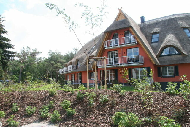 Ferienwohnung in Dierhagen - Balkon-Maisonette-Ferienwohnung - Bild 11