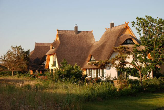 Ferienwohnung in Dierhagen - Garten-Ferienwohnung - Bild 17