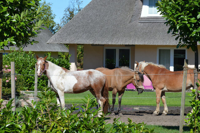 Ferienhaus in Fehmarn OT Staberdorf - Gartenhaus 3, inkl. 1 Parkplatz - Bild 14