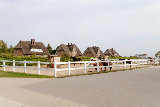 Ferienhaus in Fehmarn OT Staberdorf - Omas Haus - Bild 25