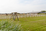Ferienhaus in Fehmarn OT Staberdorf - Reethaus 1A - Bild 23