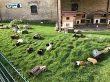 Ferienwohnung in Fehmarn OT Staberdorf - Landhaus 5 - Bild 22