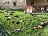 Ferienhaus in Fehmarn OT Staberdorf - Reetdachhaus 4, inkl. 2 Parkpl&auml;tze - Bild 22