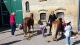 Ferienhaus in Fehmarn OT Staberdorf - Reetdachhaus 4, inkl. 2 Parkpl&auml;tze - Bild 15