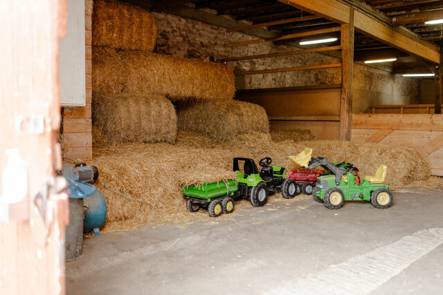 Ferienhaus in Fehmarn OT Staberdorf - Am Hof 1 - Bild 25