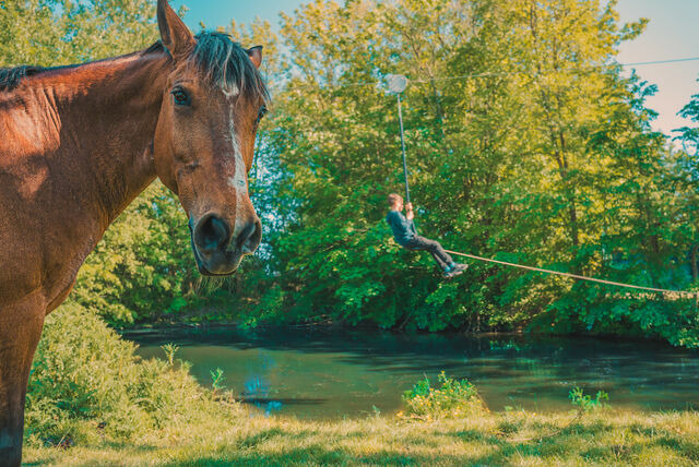 Ferienwohnung in Fehmarn OT Westermarkelsdorf - Marin - Bild 16