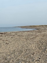 Ferienwohnung in Fehmarn - Ferienwohnung S&uuml;d - Bild 12