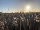 Ferienwohnung in Fehmarn - Ferienwohnung Nord - Bild 13