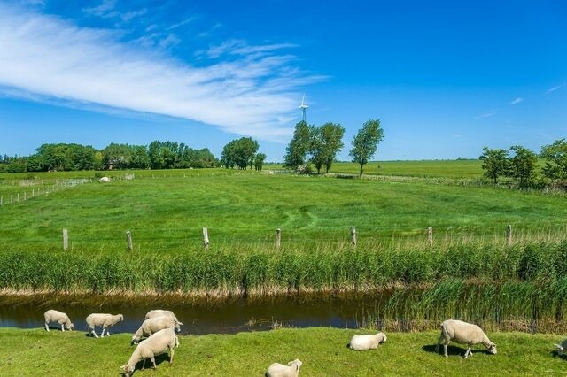 Ferienwohnung in Fehmarn OT Petersdorf - Ferienwohnung Seestern - Bild 16