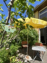 Ferienhaus in Barth - Studio Vineta - Bild 12