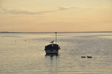 Ferienwohnung in Fehmarn OT Burgtiefe - Hafenblick - Bild 16