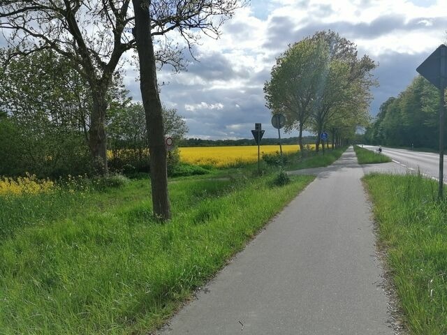 Ferienwohnung in Dahme - Pl&ouml;n Lars - Fewo 1 - Bild 17