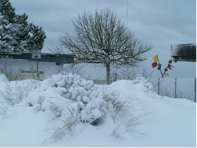 Ferienwohnung in Dahme - Pl&ouml;n Lars - Fewo 1 - Bild 23
