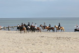 Ferienwohnung in Kellenhusen - Silva Mare, OG 2 - Bild 17