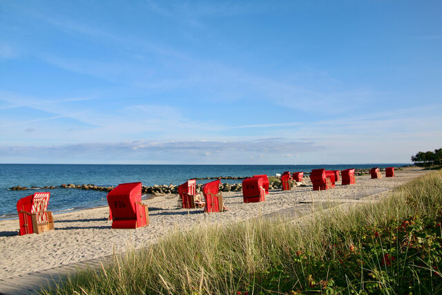 Ferienhaus in Brodersby - Poolhaus Ostsee - Bild 21