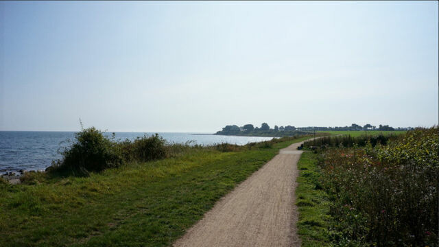 Ferienwohnung in Fehmarn OT Wulfen - Anneliese Blumenwiese - Bild 10