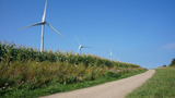 Ferienwohnung in Fehmarn OT Wulfen - Anneliese Blumenwiese - Bild 12