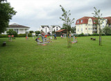 Ferienwohnung in Gro&szlig;enbrode - Sonnenschein 16 - Gro&szlig;enbrode - Bild 21
