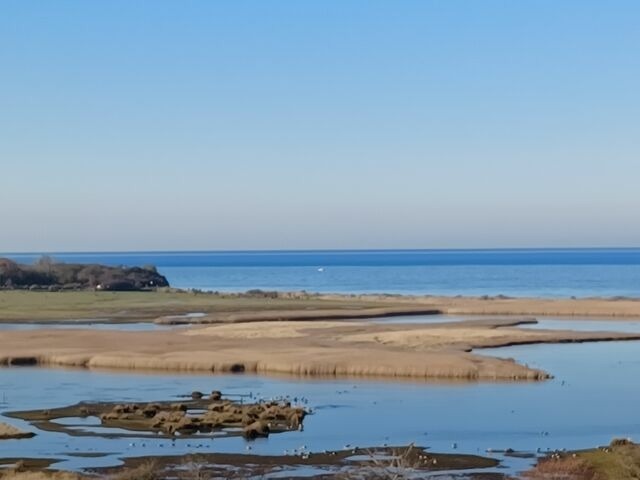 Ferienwohnung in Heiligenhafen - "Salzwiesenblick", H-6-3 - Bild 13