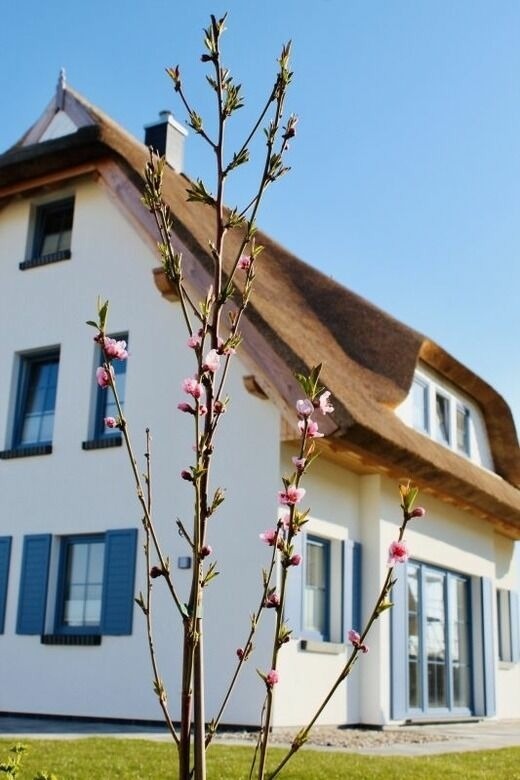 Ferienhaus in Dranske - Ferienhaus Rügenzauber - Bild 17