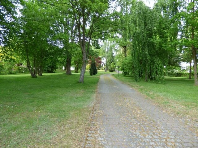 Ferienwohnung in Sellin - Sonnige Ferienwohnung -100qm - im 1. Obergeschoss der Villa Walhall in einem parkähnlichen Garten - Bild 2