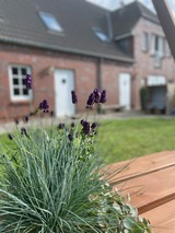 Ferienwohnung in Fehmarn OT Wulfen - Sybille Sonnenbrille - Bild 18